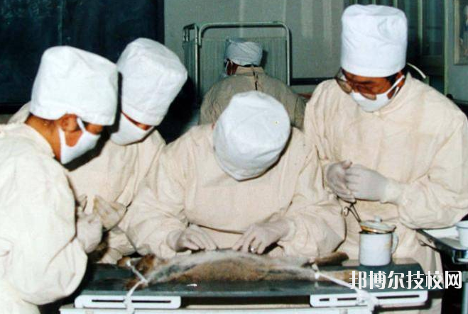 甘南州衛(wèi)生學(xué)校2020年招生錄取分數(shù)線