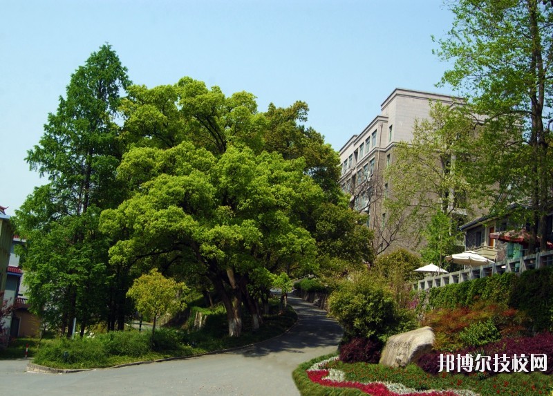 中國美術(shù)學(xué)院附屬中等美術(shù)學(xué)校2020年報(bào)名條件、招生要求、招生對象