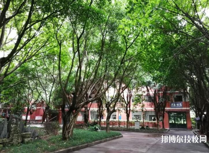 重慶舞蹈學(xué)校2020年報(bào)名條件、招生要求、招生對(duì)象