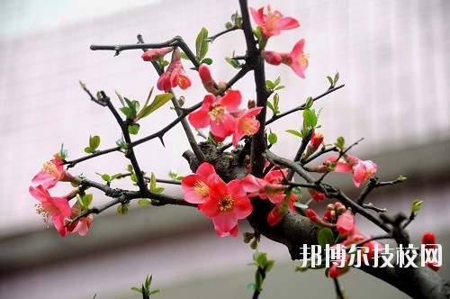貴州廣播電影電視學校怎么樣、好不好