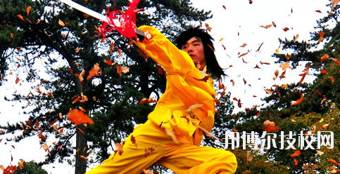 平?jīng)鲠轻嘉奈鋵W(xué)校2020年報(bào)名條件、招生要求、招生對象