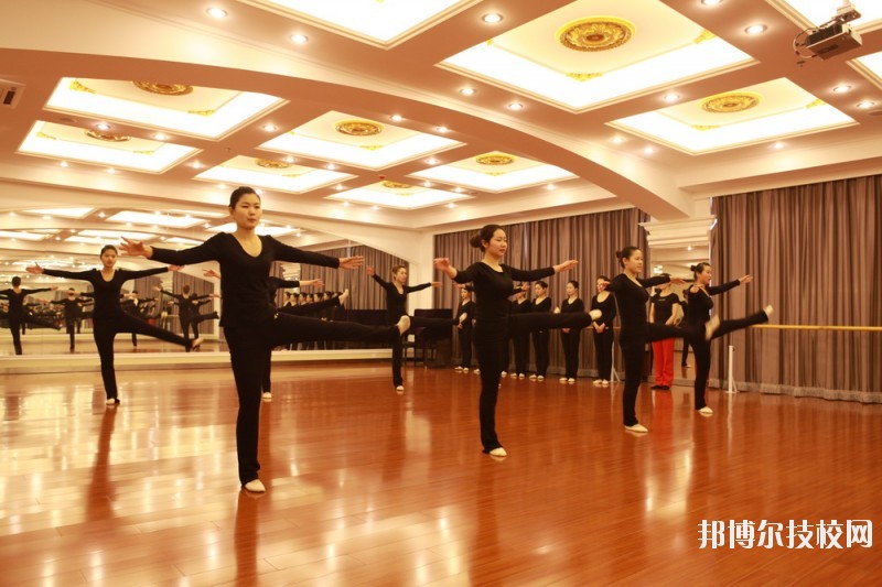滄州職業(yè)技術(shù)學(xué)院2020年報名條件、招生要求、招生對象