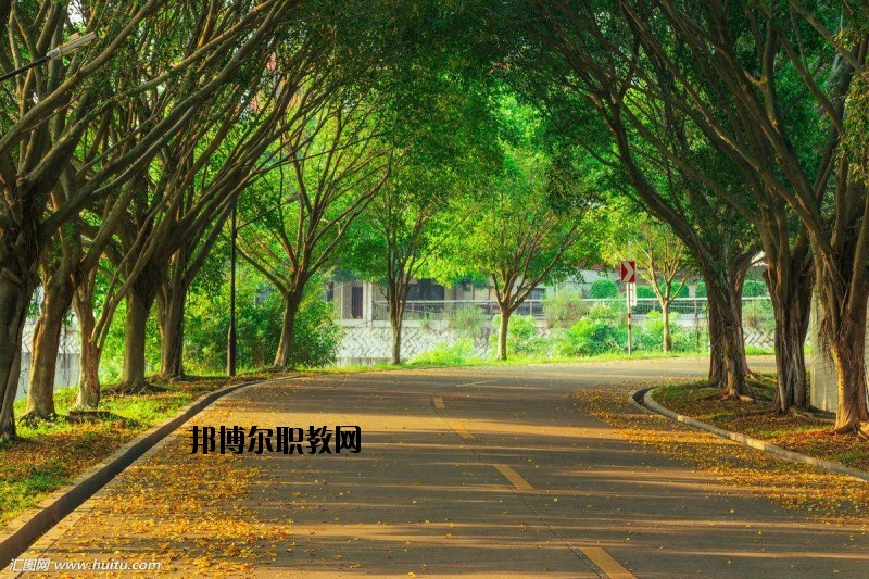 仙桃金園職業(yè)高級中學(xué)2020年報名條件、招生要求、招生對象