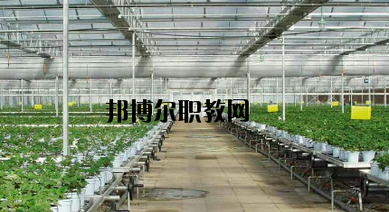隴南農(nóng)業(yè)學(xué)校怎么樣、好不好