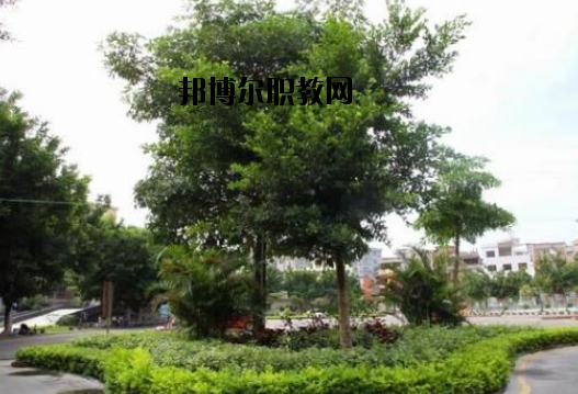 羅定中等職業(yè)技術(shù)學(xué)校怎么樣、好不好