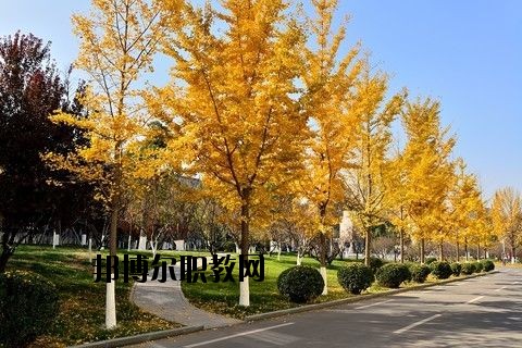 蘄春李時珍中等專業(yè)學(xué)校怎么樣、好不好