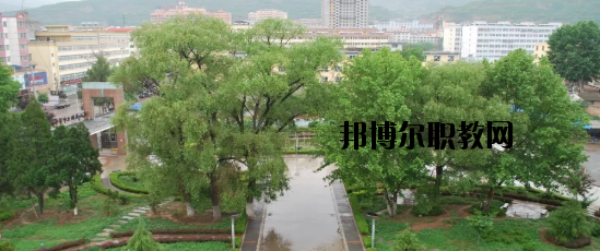 武山職業(yè)中等專(zhuān)業(yè)學(xué)校2020年招生錄取分?jǐn)?shù)線