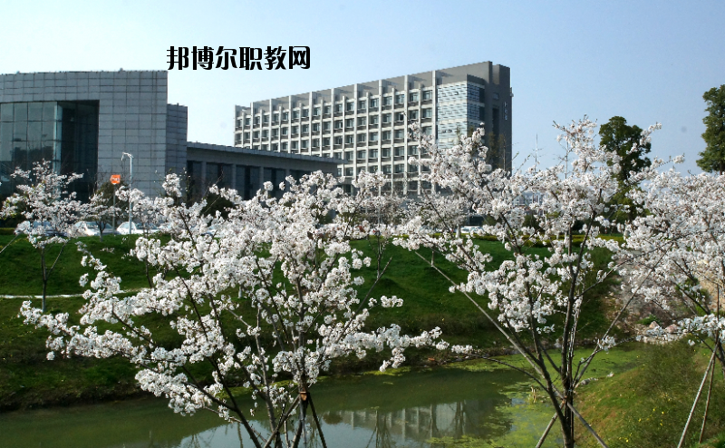 中國(guó)藥科大學(xué)2020年報(bào)名條件、招生要求、招生對(duì)象