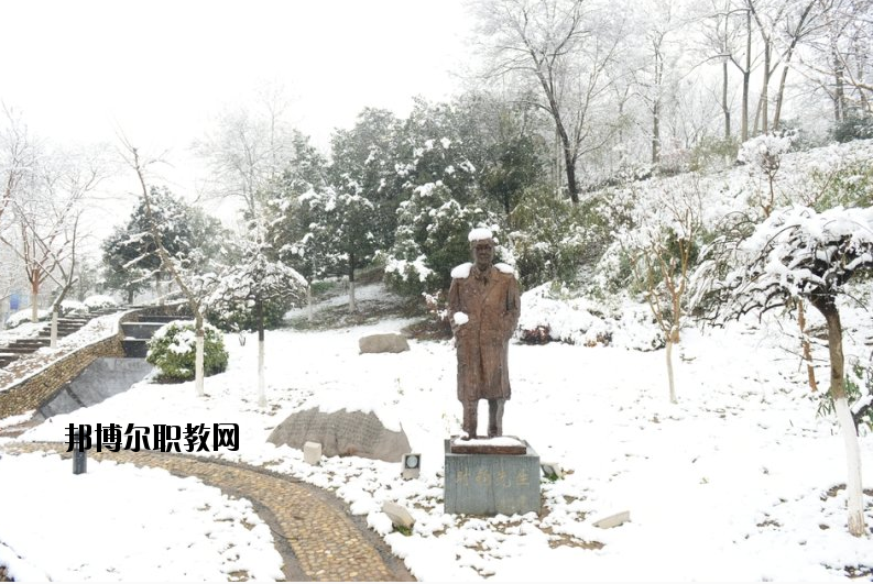 南京工業(yè)大學(xué)2020年報(bào)名條件、招生要求、招生對(duì)象