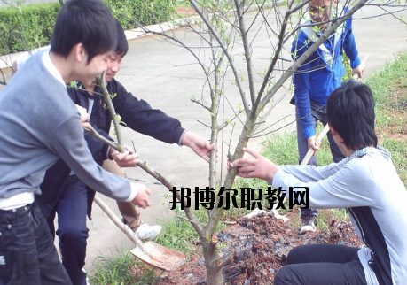 江西長(zhǎng)江理工專(zhuān)修學(xué)院2020年報(bào)名條件、招生要求、招生對(duì)象