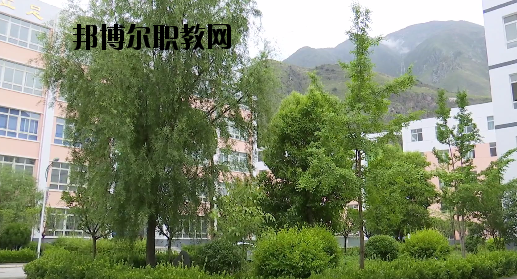 文縣職業(yè)技術(shù)學校2020年報名條件、招生要求、招生對象