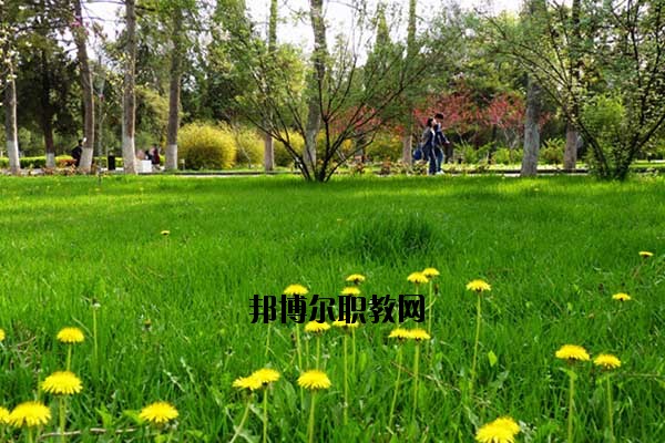 雙江縣職教中心2020年報(bào)名條件、招生要求、招生對象