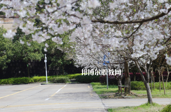 QQ截圖20200330134331