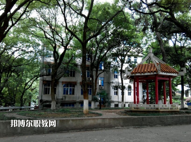 QQ截圖20200804135039