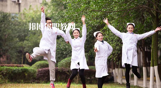 成都2020年讀衛(wèi)校學(xué)什么技術(shù)好