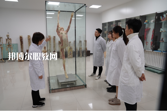 西安2021年有哪些大專學(xué)校有衛(wèi)校專業(yè)
