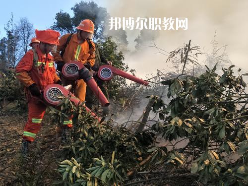 四川2021年有哪些民辦消防技術(shù)工程學(xué)校