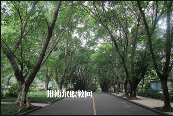 重慶2021年哪些衛(wèi)校好