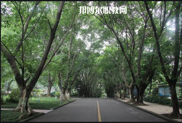 重慶2021年就業(yè)最好的衛(wèi)校