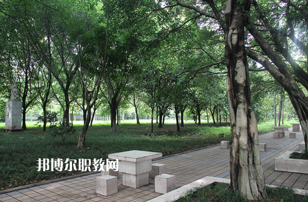 重慶2021年中專學校能學什么
