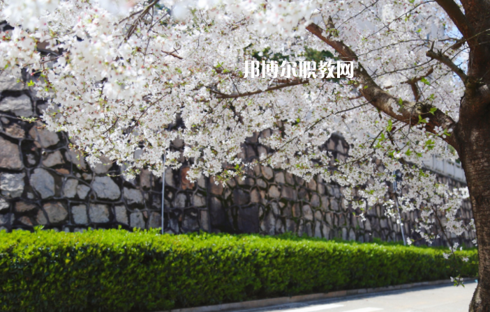 QQ截圖20200330134413