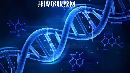 dd2237474af84d2aa043b0509f85307d_th