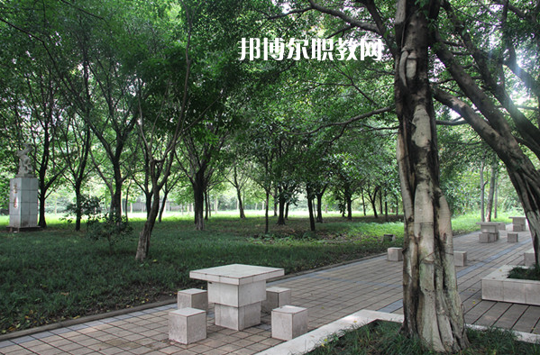 重慶2021年沒(méi)初中畢業(yè)能上中專(zhuān)學(xué)校