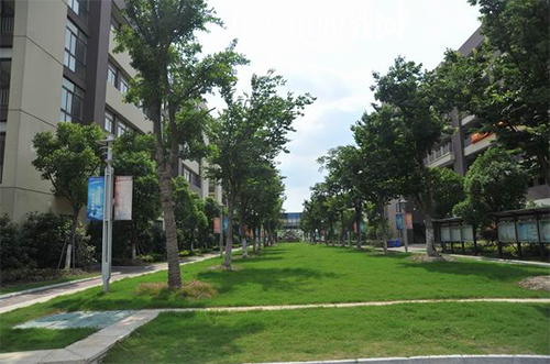 昆山花橋國際商務(wù)城中等專業(yè)學校怎么樣、好不好