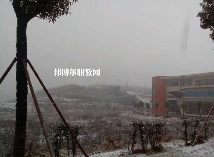 QQ截圖20200511134346