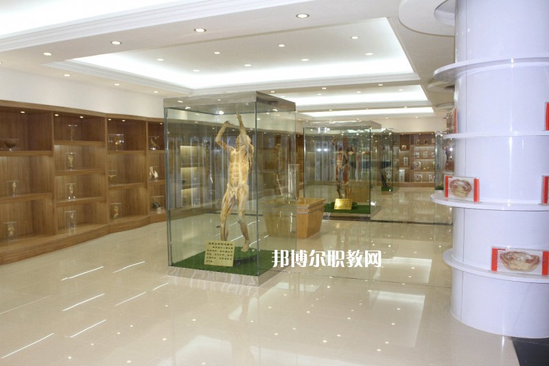 西安2021年不想讀衛(wèi)校