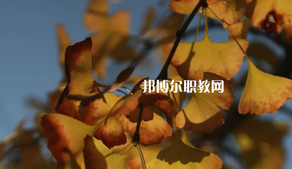 貴州2021年哪家中專學(xué)校好
