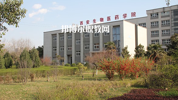西安2021年什么衛(wèi)校好