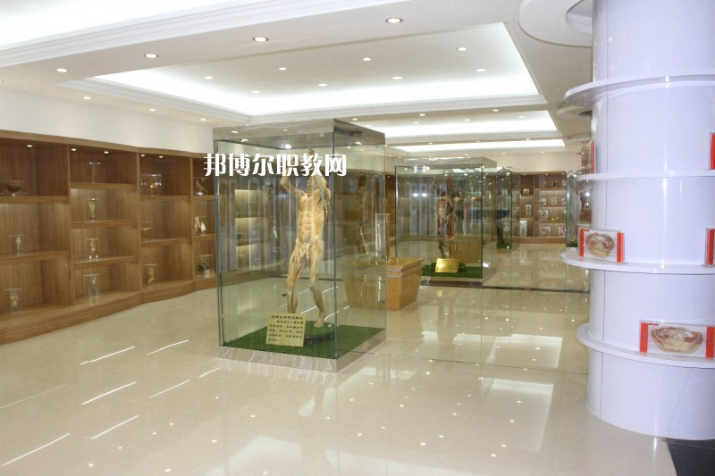 西安2021年衛(wèi)校春季招生