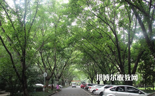 重慶2021年女孩子中專學(xué)什么好