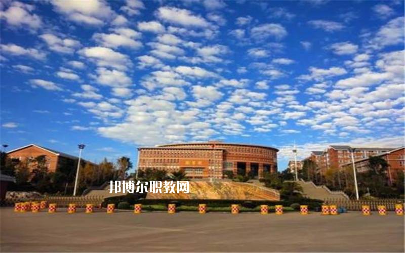 保山中醫(yī)藥高等?？茖W(xué)校網(wǎng)站網(wǎng)址