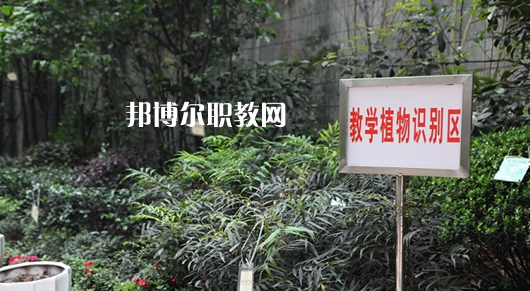 重慶風景園林技工學校2022年學費、收費多少