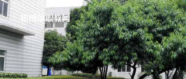 成都市中山職業(yè)技術(shù)學(xué)校2022年報名條件、招生要求、招生對象