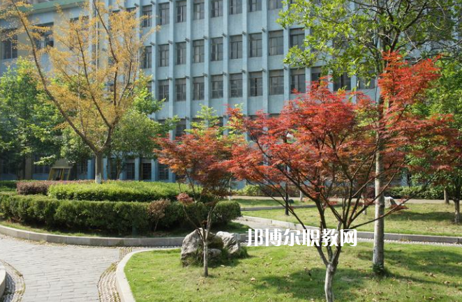 廉江市衛(wèi)生職業(yè)技術(shù)學(xué)校怎么樣、好不好