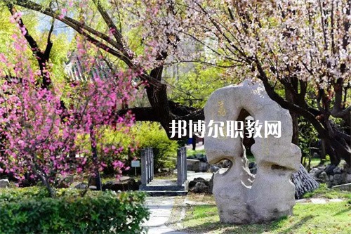 徐州生物工程職業(yè)技術(shù)學(xué)院中專部2022年學(xué)費(fèi)、收費(fèi)多少