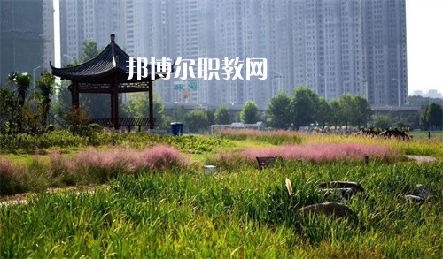 徐州生物工程職業(yè)技術(shù)學(xué)院中專部2022年報名條件、招生要求、招生對象