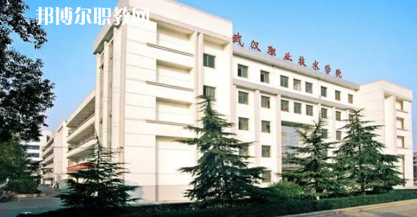2023湖北十大?？茖W(xué)校名單及排行榜