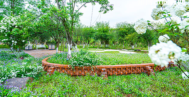 重慶望江技工學(xué)校地址在哪里，哪個地區(qū)，哪個城市?