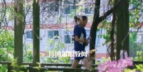 2023金華市成功學(xué)校招生計(jì)劃 招生人數(shù)是多少(附要求、條件、對象)