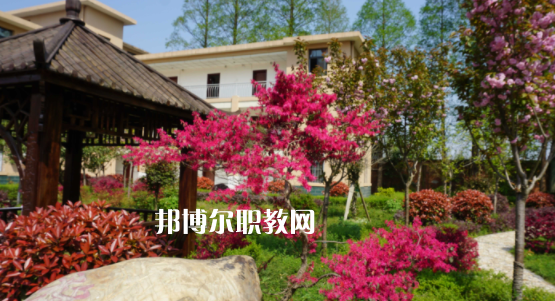 2023陜西省機(jī)械高級技工學(xué)校招生計劃 招生人數(shù)是多少(附要求、條件、對象)