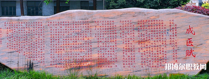 成都成醫(yī)一附院護(hù)士學(xué)校2024年學(xué)費(fèi)、收費(fèi)多少