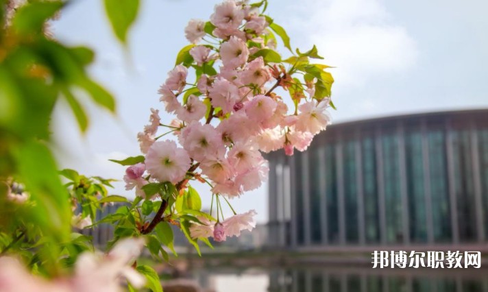 河南藝術(shù)職業(yè)學院中專部怎么樣、好不好