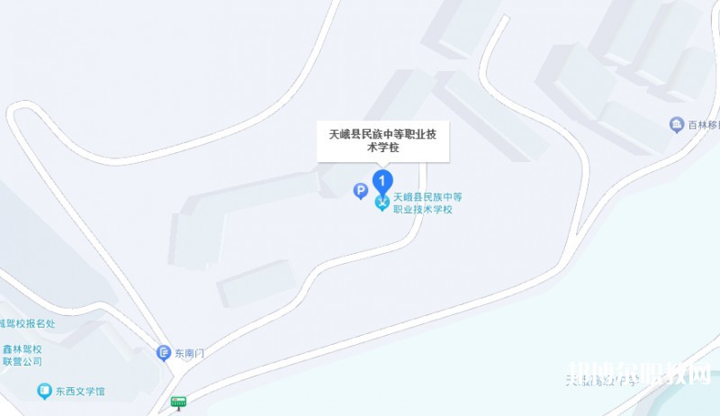 天峨縣民族中等職業(yè)技術學校地址，乘車路線